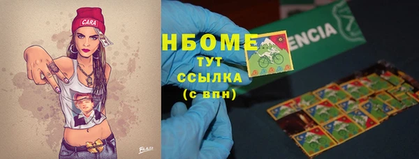 винт Лабытнанги