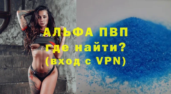 винт Лабытнанги