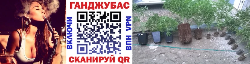 Марихуана MAZAR  блэк спрут tor  Елец  купить  